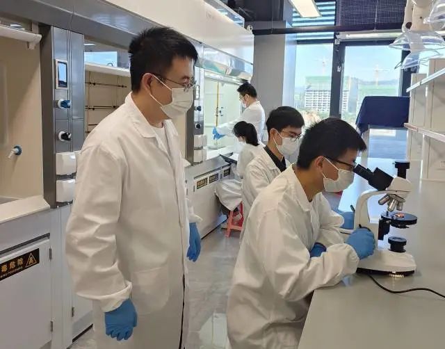 1669368110216246.jpg 640 (1).jpg